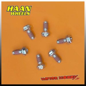 KIT VITI DISCO FRENO ANTERIORE HAAN WHEELS YAMAHA YZ – YZF SUZUKI RM 125-250 (6 PEZZI)