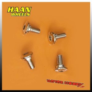 KIT VITI DISCO FRENO ANTERIORE HAAN WHEELS KAWASAKI SUZUKI (4 PEZZI)